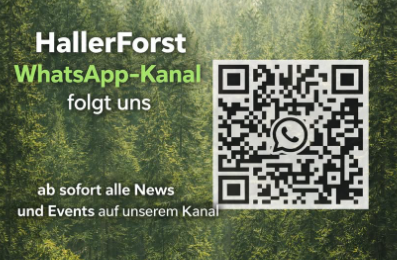 whatsapp haller